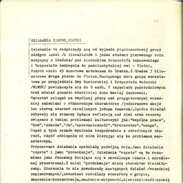 Działania zimowe, Plutki