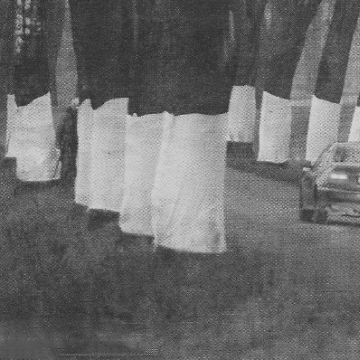 Przydrożne drzewa ubrali w białe płótna