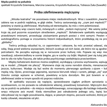 Próba zdefiniowania mężczyzny
