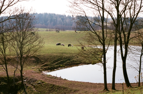 Panorama Dziadówka