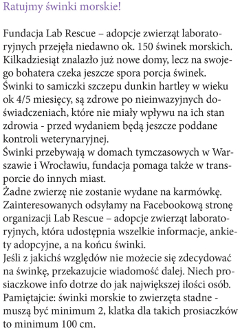 Ratujmy świnki morskie!