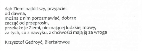 dąb Ziemi najbliższy...