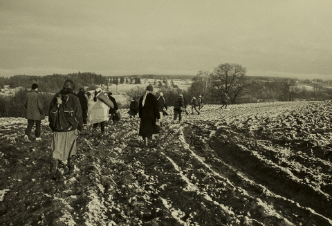 Alilujnicy na polu