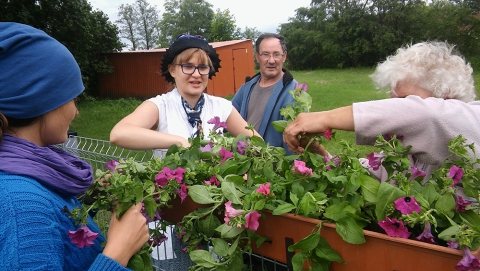 Akcja "650 kwiatów na 650-lecie wsi Węgajty"