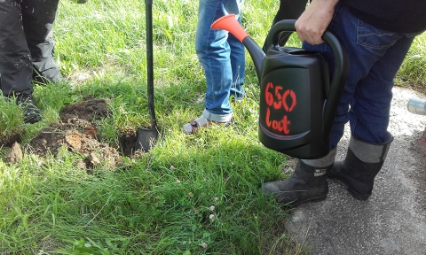 Akcja "650 kwiatów na 650-lecie wsi Węgajty"