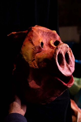 Maska Świnki wykonana przez Cezarego Kucharskiego w Ośrodku Działań Teatralnych "Pracownia" w Olsztynie. Prawy profil